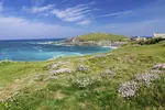 Holiday Cottages in Cornwall - travel tips, beautiful holiday homes, experiences, wildlife, hiking and how to get to C