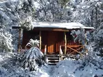 Cosy Forest Fairytale Cottage - find inspiring, enchanting and magical holiday havens or forest retreats, a cute cabin