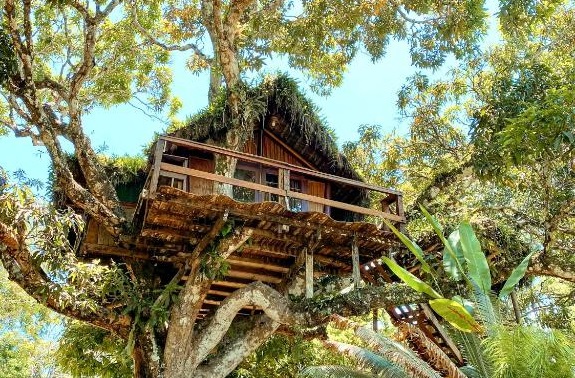 Art Jungle Eco Lodge Itacare Brazil