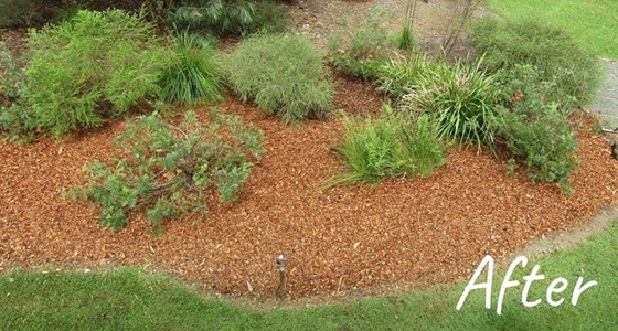 Bird Garden after work