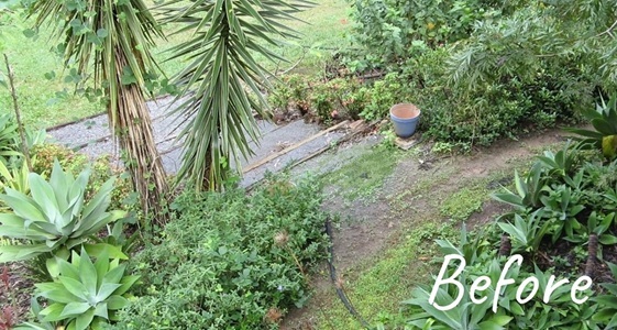 Bird Garden Before work