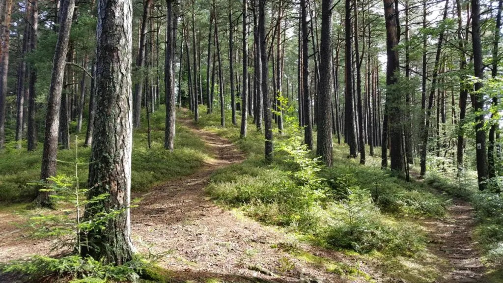 Black Forest Germany