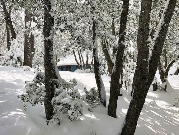 Blue Cottage Idyllwild CA USA