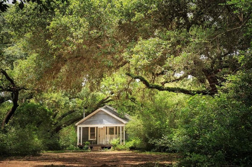 Bluebonnet Bungalow Blisswood Texas USA