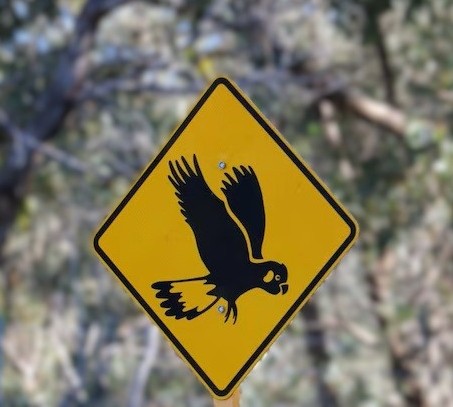 Cockatoo Road Sign Western Australia Cockatoo Road Sign Western Australia