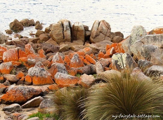 Coles Bay Harbour, Tasmania Coles Bay Harbour, Tasmania