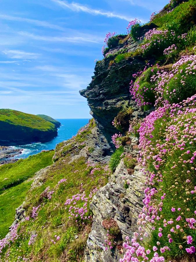 Cornwall Cliffs with Wildflowers UK