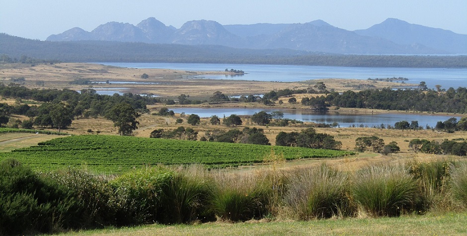 Devil's Corner Vineyard - View to Great Oyster Bay - Tamania