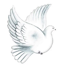 Dove Icon