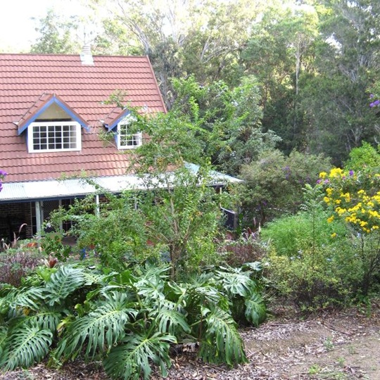 Exotic plants to be removed