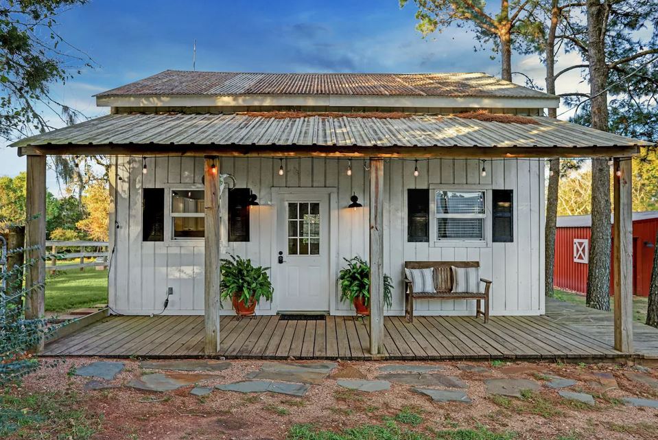 Farmhouse Cat Spring Texas USA