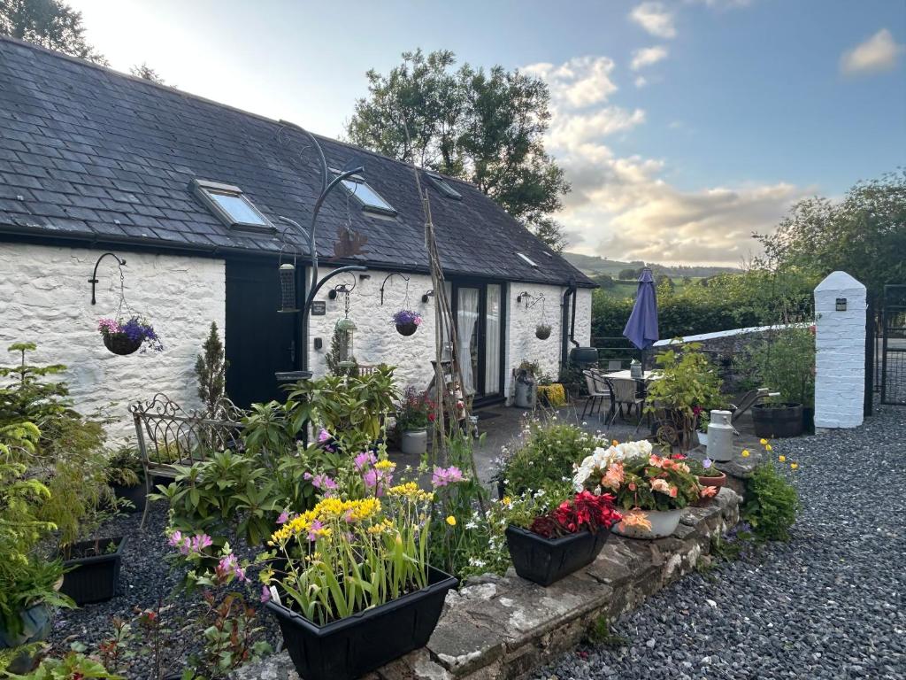Old Milking Parlour Cottage Wales Old Milking Parlour Cottage Wales