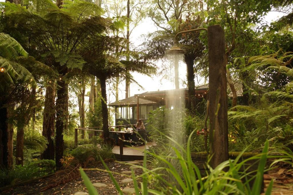 Forest Retreat Dandenongs Victoria Australia Forest Retreat Dandenongs Victoria Australia