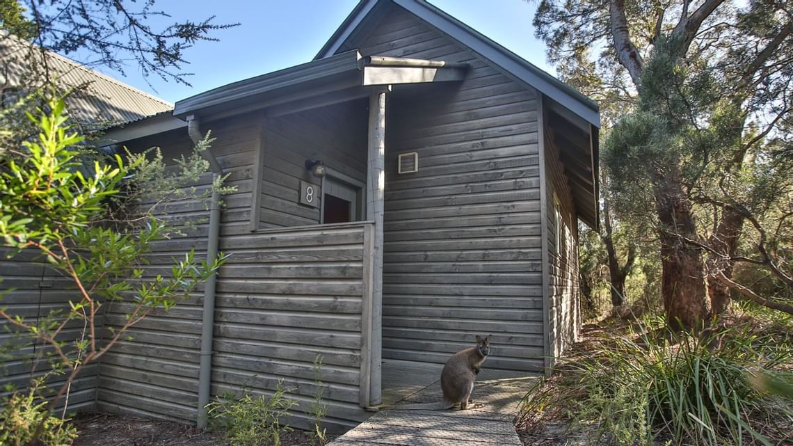 Freycinet Lodge - Cabin - Tasmania Australia
