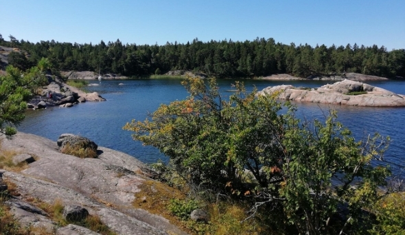Grinda Island Stockholm Archipelago Sweden Grinda Island Stockholm Archipelago Sweden