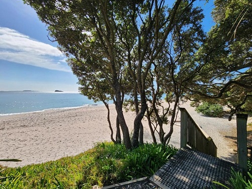 Beachfront Bliss Cottage - Hahei - Coromandel NZ Beachfront Bliss Cottage - Hahei - Coromandel NZ