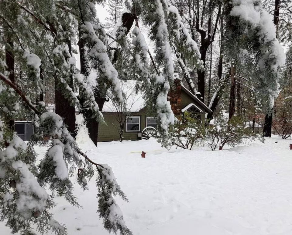 Honeybear Cottage Idyllwild CA USA