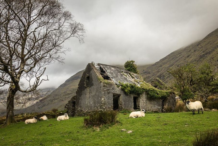 Killarney - Ring of the Reeks Tour Killarney - Ring of the Reeks Tour
