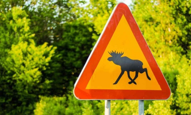 Moose road sign Sweden Moose road sign Sweden