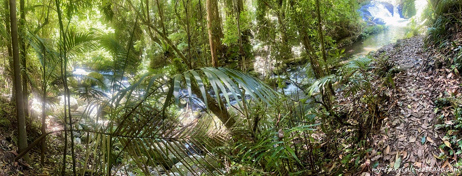 O'Reillys Rainforest Creek Qld Australia O'Reillys Rainforest Creek Qld Australia
