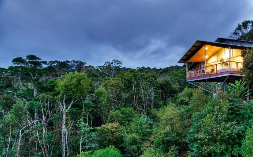 O'Reilly's Rainforest Retreat - Qld Australia O'Reilly's Rainforest Retreat - Qld Australia