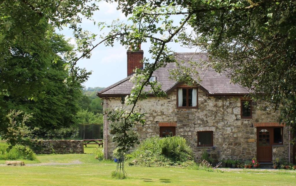 David's Organic Farm Cottage Wales David's Organic Farm Cottage Wales