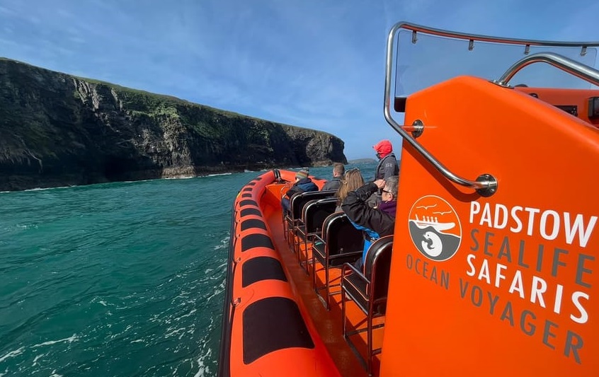 Padstow Sealife Tour Cornwall UK