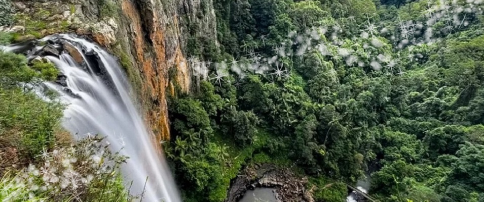 Springbrook Qld Australia Springbrook Qld Australia