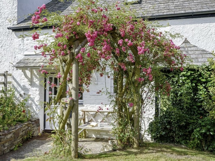 Sugar Flowers White Cottage Cornwall