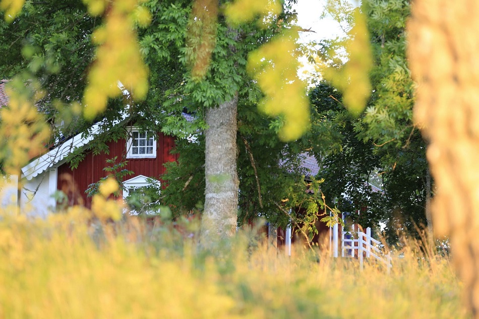 A cottage in Sweden peeking out from the forest