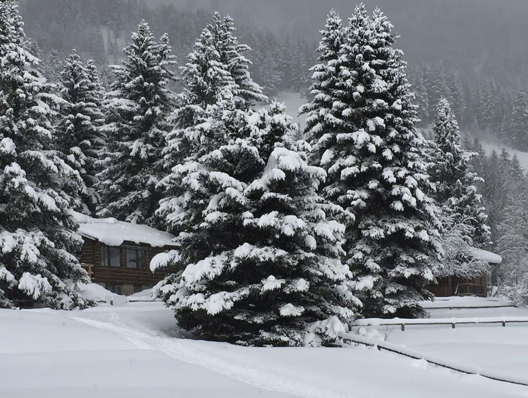 Trail Creek Ranch Wyoming USA
