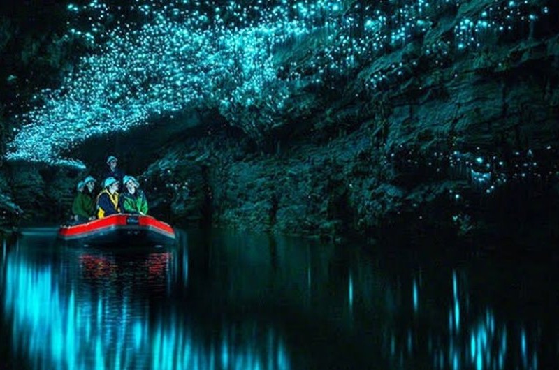 Waitomo Glow Worm Caves New Zealand Waitomo Glow Worm Caves New Zealand