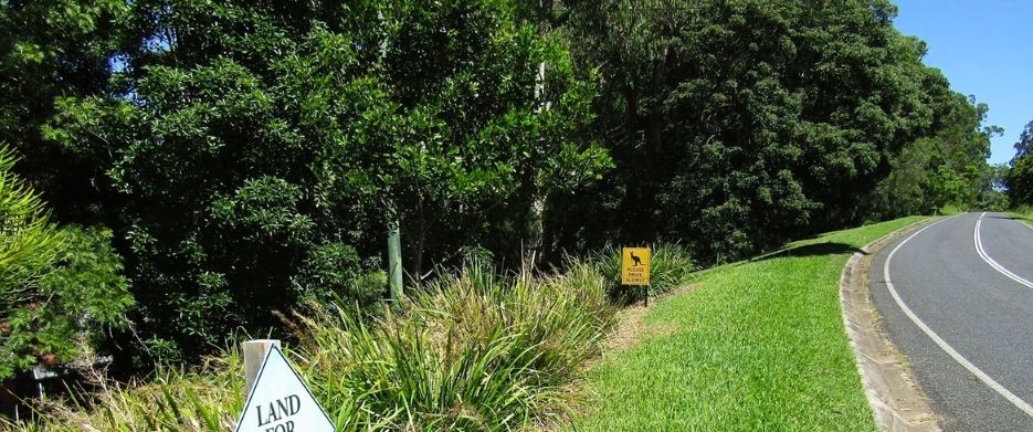 The Wallaby sign on our road encouraging drivers to slow down