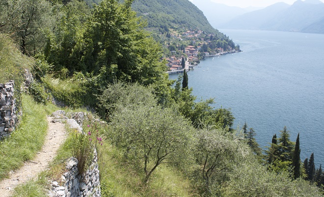Wayfarer's Path Lake Como Italy