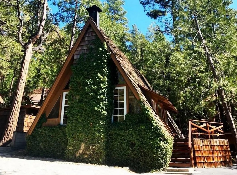 Wildland Clarity Cabin - Idyllwild CA USA
