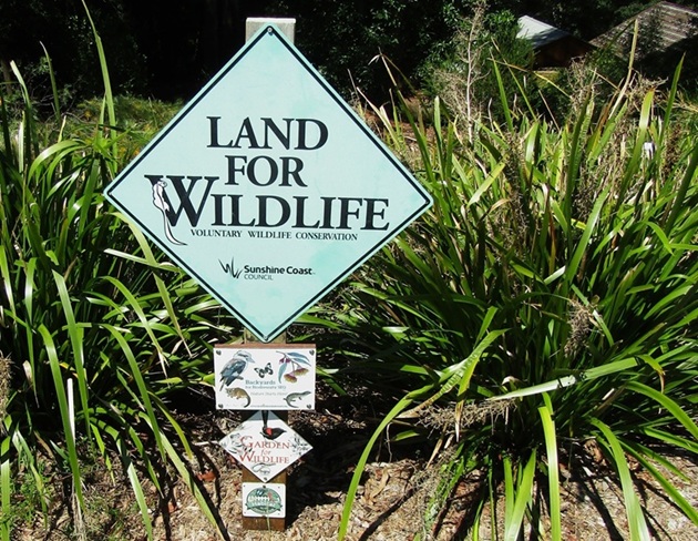 Wildlife Signs at our Cottage